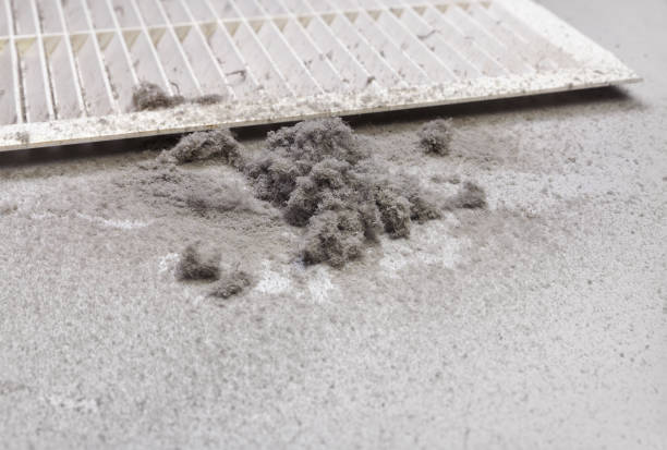 Best Home Air Vent Cleaning  in Long Beach, IN