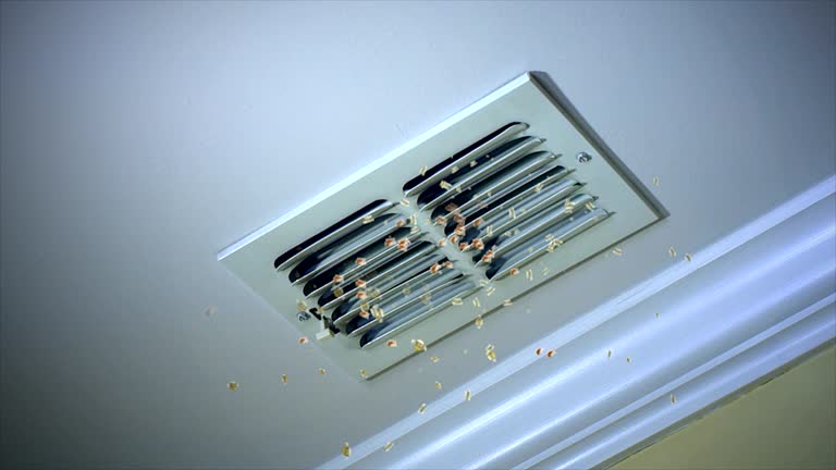 Best HVAC System Cleaning  in Long Beach, IN